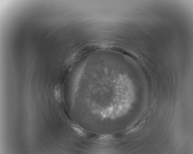 X0000062140720200512121241