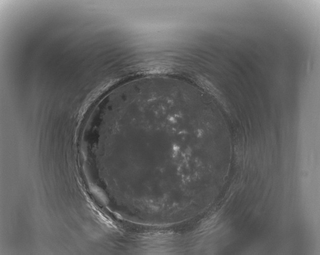 X0000062140721200512121240