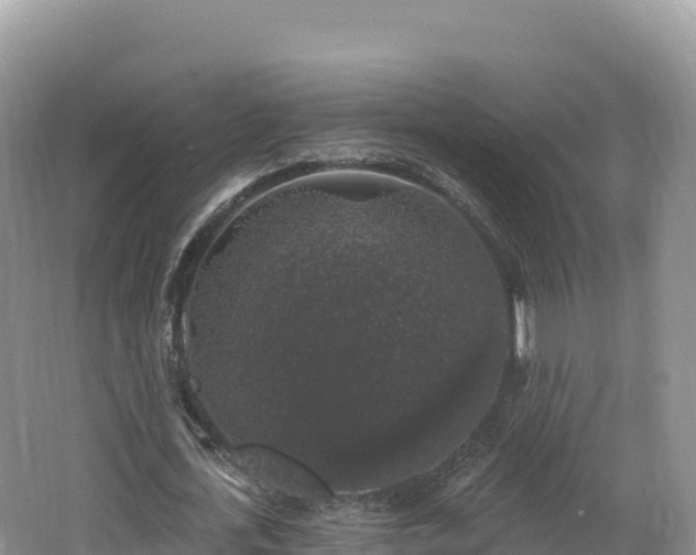 X0000062140723200512121241