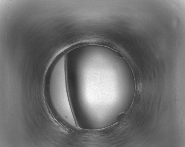 X0000062140724200512121241