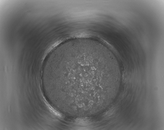 X0000062140725200512121241