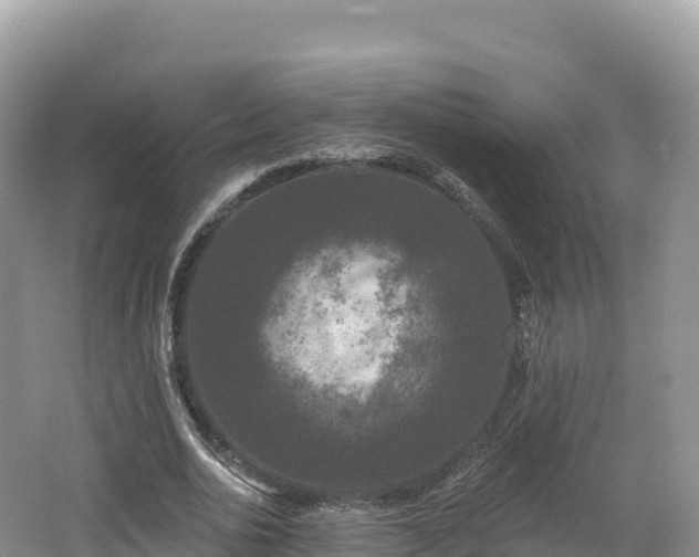 X0000062140726200512121241