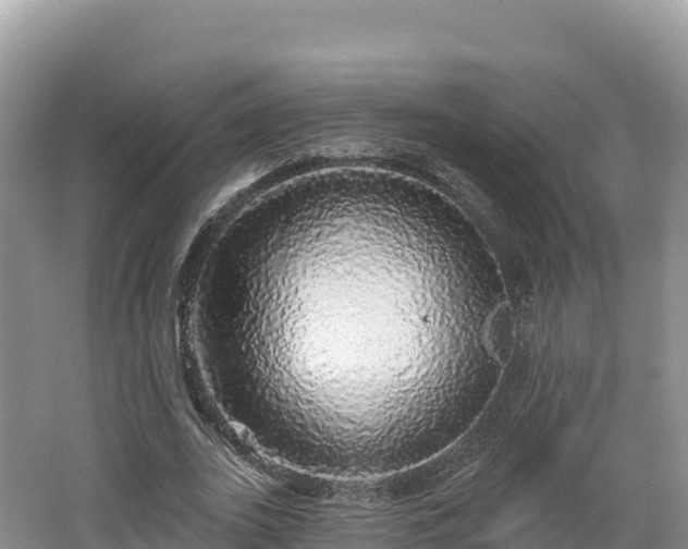 X0000062140727200512121241