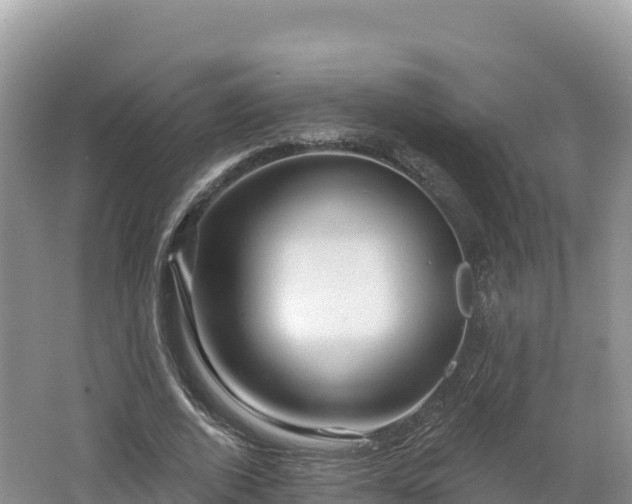 X0000062140728200512121241