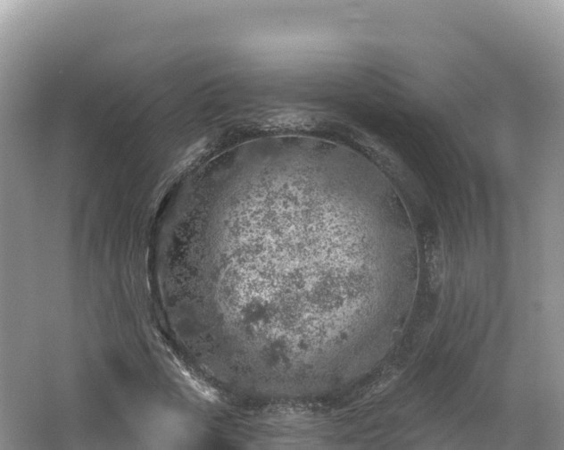 X0000062140729200512121241