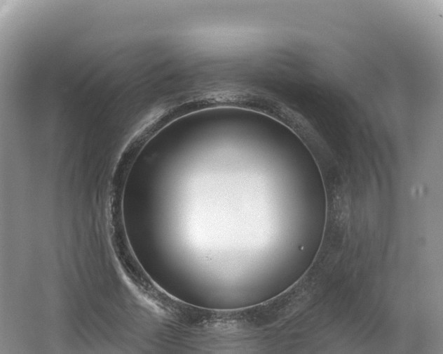 X0000062140730200512121241