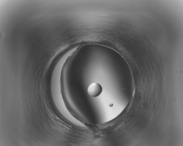 X0000062140731200512121241