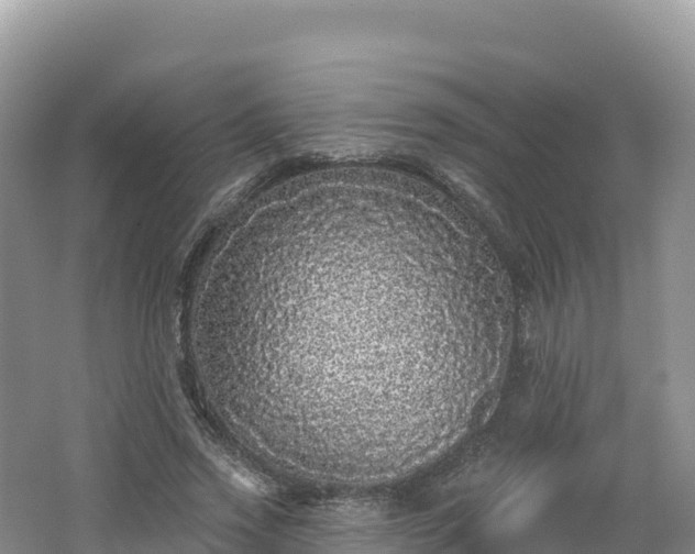 X0000062140733200512121241