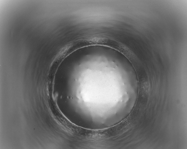 X0000062140734200512121241