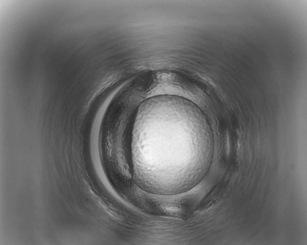 X0000062140735200512121241