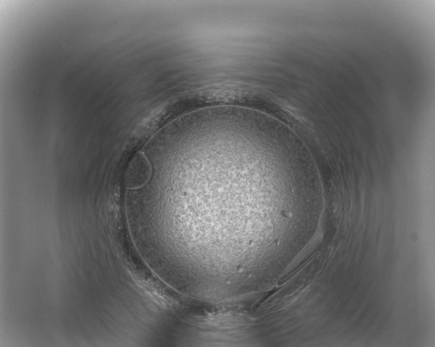 X0000062140737200512121241