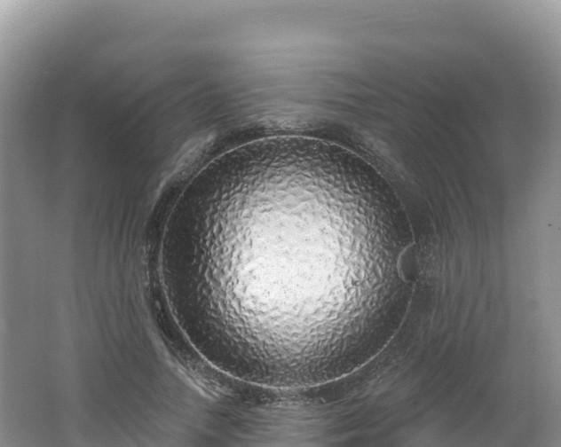 X0000062140738200512121241