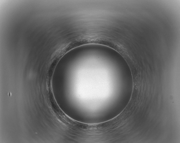 X0000062140740200512121241