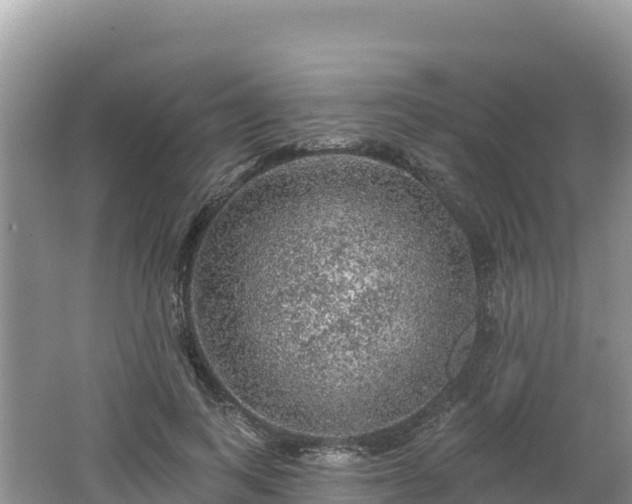 X0000062140743200512121241