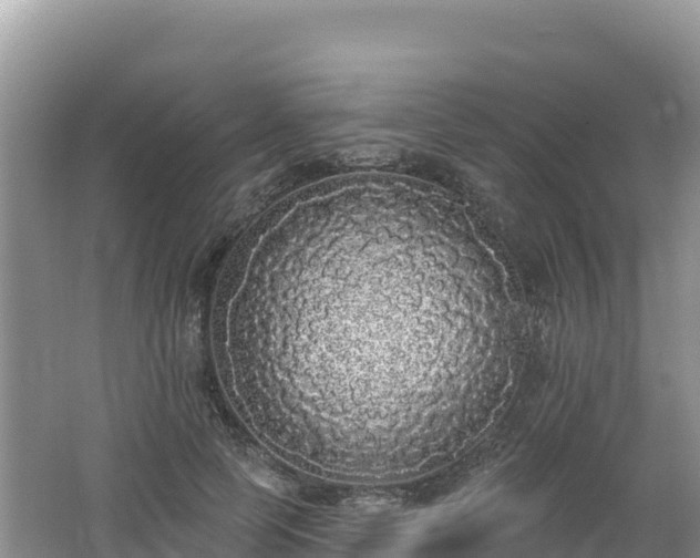 X0000062140745200512121241