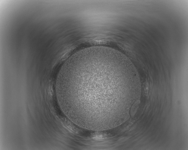 X0000062140746200512121241