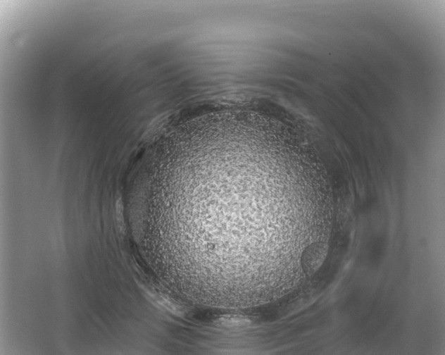 X0000062140749200512121241