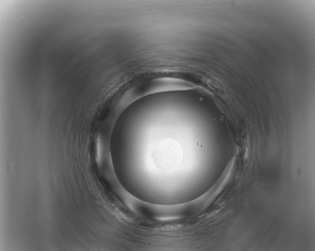 X0000062140750200512121241