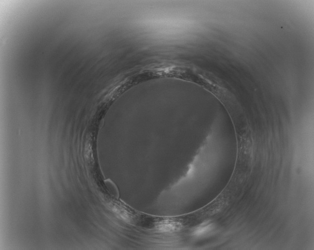 X0000062140754200512121241