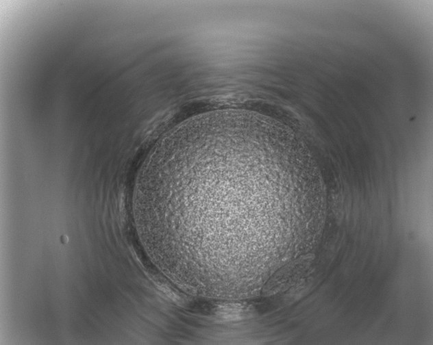 X0000062140757200512121241