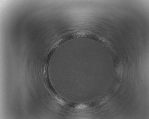 X0000062140759200512121241