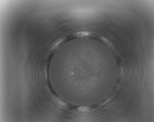 X0000062140762200512121241