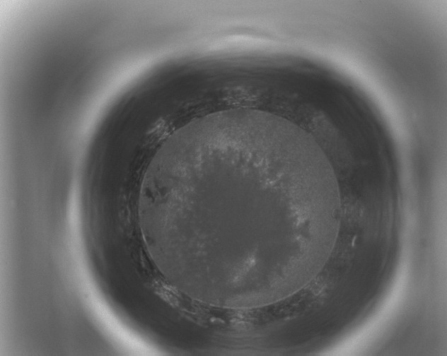 X0000062140765200512121241