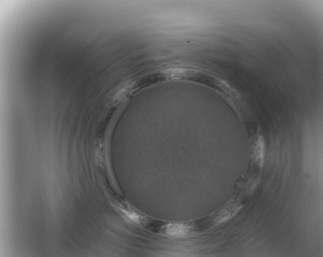 X0000062140766200512121241