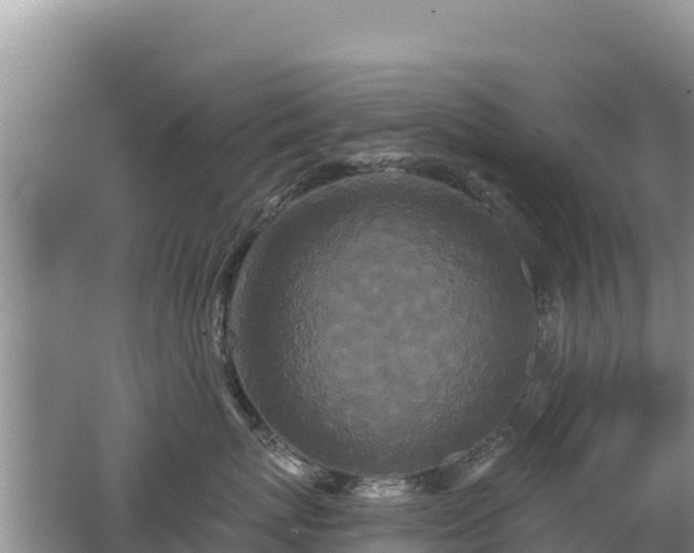 X0000062140767200512121241