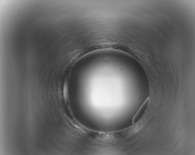 X0000062140768200512121241