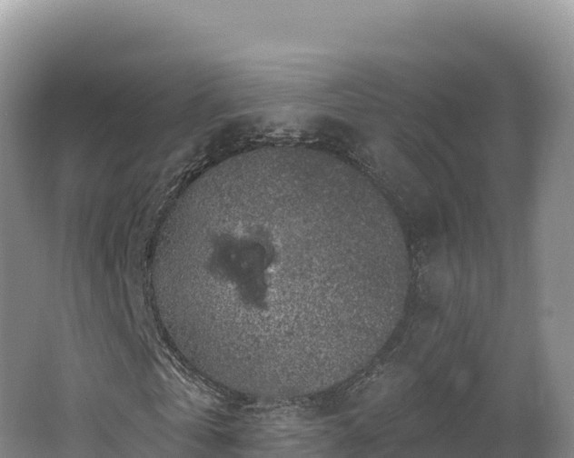 X0000062140769200512121240