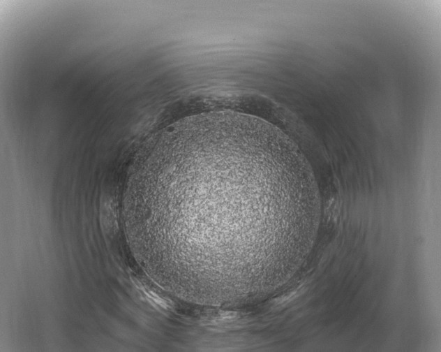 X0000062140772200512121240