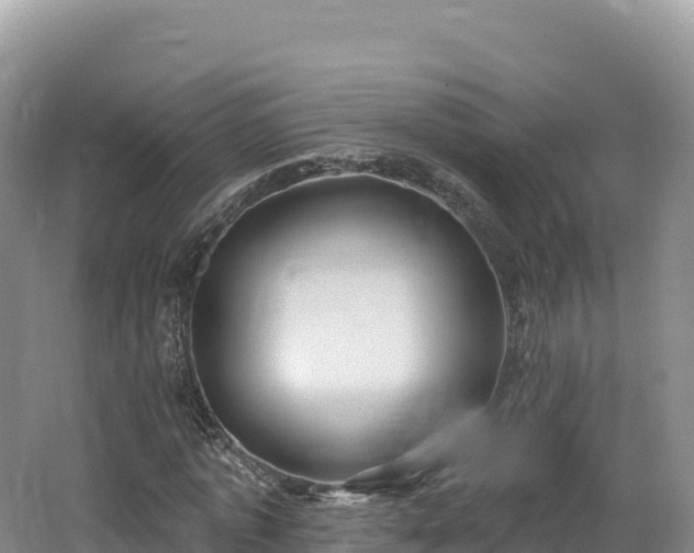 X0000062140773200512121240