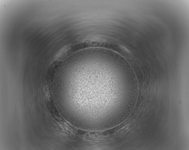 X0000062140774200512121240