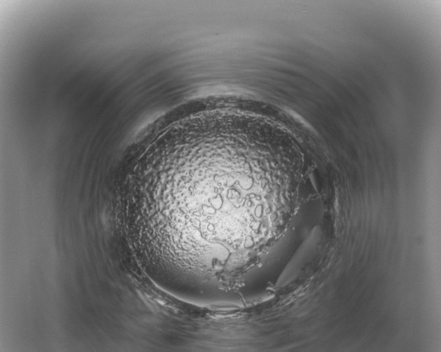 X0000062140775200512121240