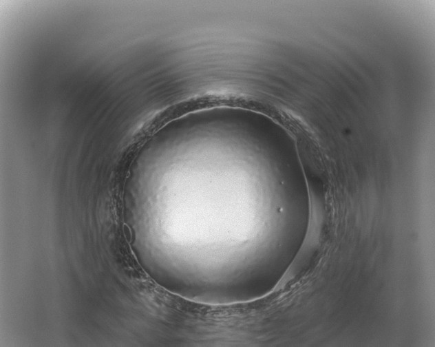 X0000062140776200512121240