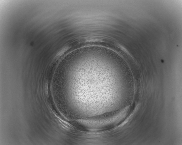 X0000062140777200512121240