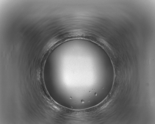 X0000062140778200512121240