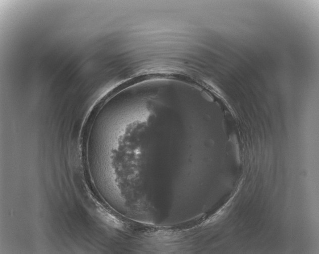 X0000062140779200512121240