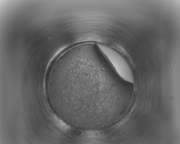 X0000062140780200512121240