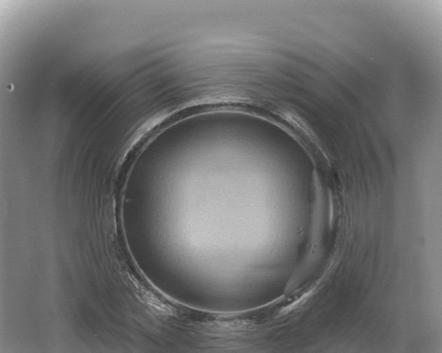 X0000062140781200512121240