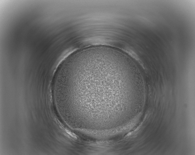 X0000062140782200512121240