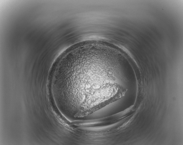 X0000062140783200512121240