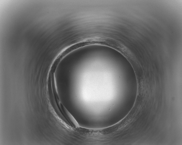 X0000062140784200512121240