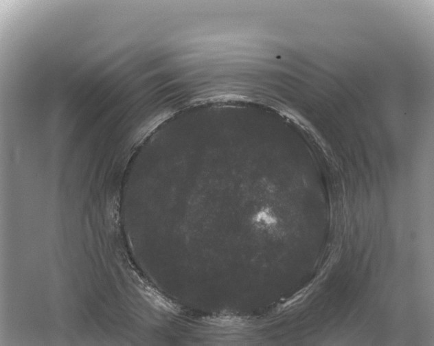 X0000062140785200512121240