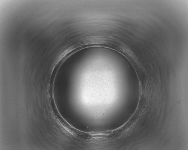 X0000062140786200512121240