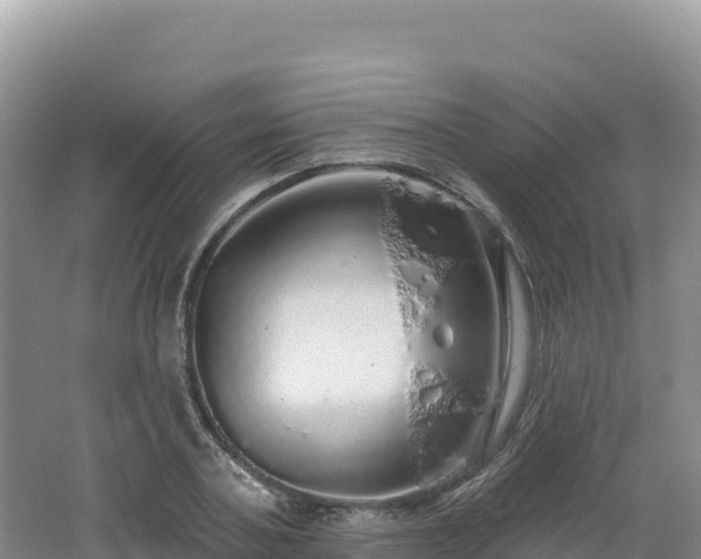 X0000062140787200512121240