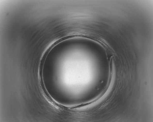 X0000062140788200512121240