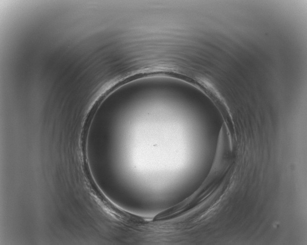 X0000062140789200512121240