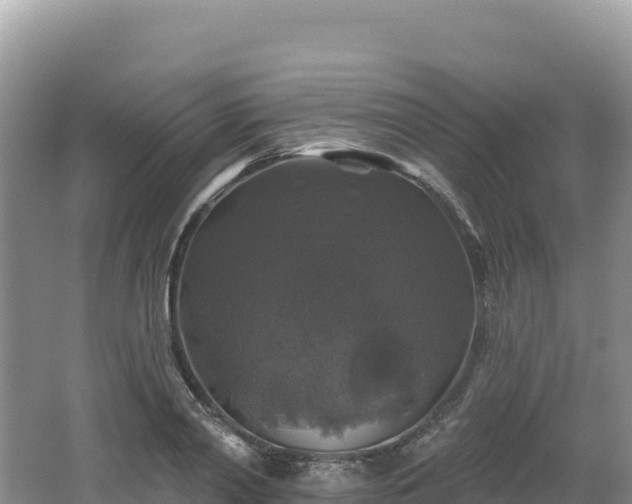 X0000062140790200512121240